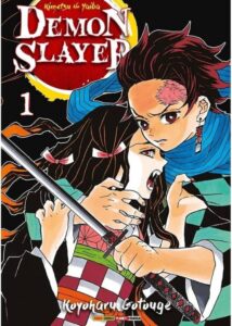 Demon Slayer Kimetsu no Yaiba